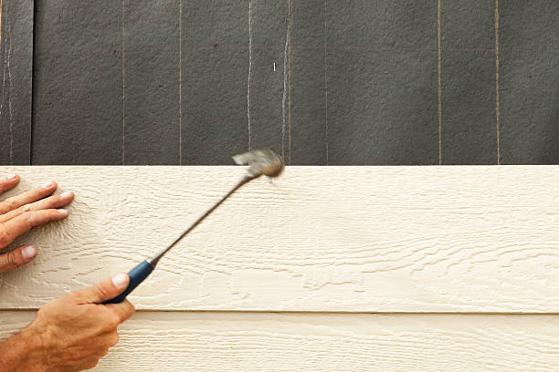 Best Siding Removal and Disposal  in Dixmoor, IL